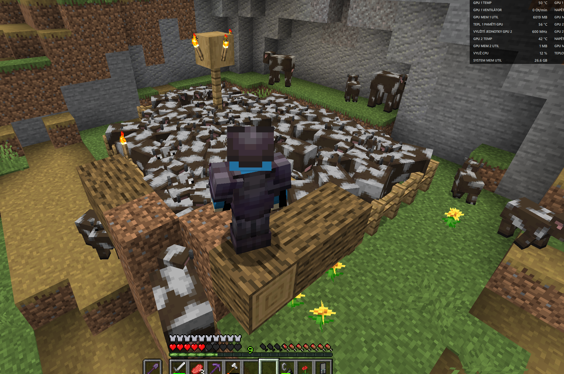 Screenshot 15